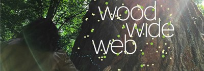 Wood Wide Web 