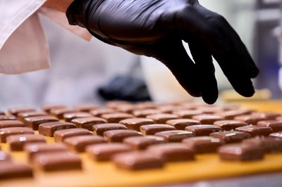 Chocola3_pralines