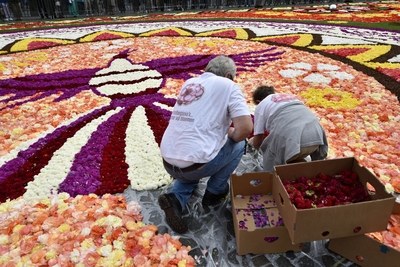 Tapis de Fleurs 