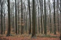 Eerste internationale dag van het landschap